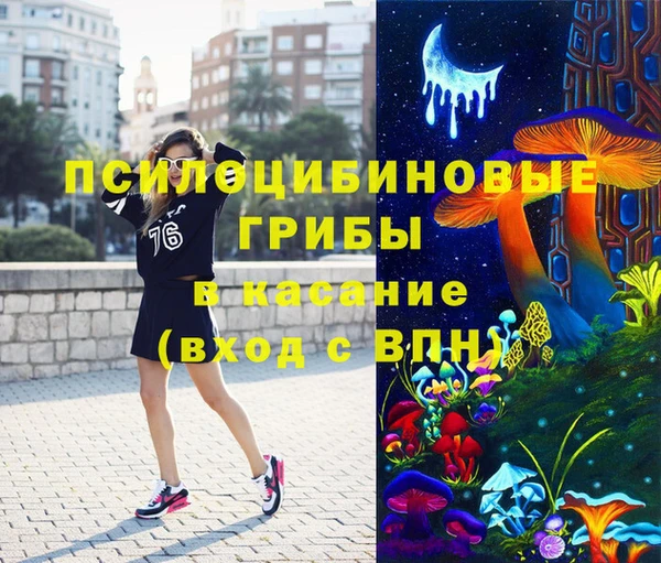молекула духа Бородино